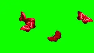 The Best Animation Scene Butterfly Green Screen Free Download #VPRO GREEN SCREEN