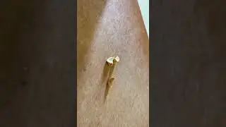 Minor mistake dehydrating garlic cloves for powdered garlic