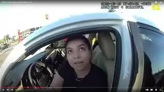 TikTok Lawyer Gets Arrested Under 3 Minutes By No Nonsense Florida Police  Officers