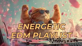 Energetic EDM Playlist 2026 ⚡ 1 Hour Festival & Workout Mix | DJ Cat Universe