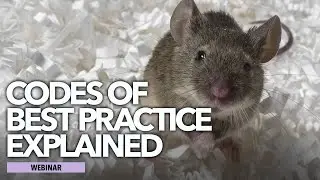 Pest Management Codes of Best Practice Explained