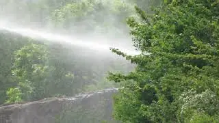 Washford Station Bank Fire 16th May 2019 WSR