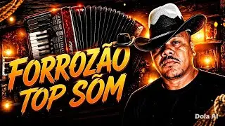 Você passou dos limites-Forrozão pegada top #forrozão #playvaquejada 