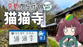 京都から行くちょい乗りドライブスポット #04「猫猫寺」