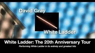 David Gray  -  