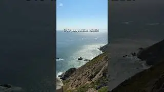 Ланч с морскими львами #поставьлайк #pacific #naturelovers #california #жизньвсша #природа #океан
