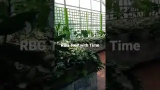 RBG Tour with Time