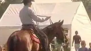 Natural Horse Gathering - part 1