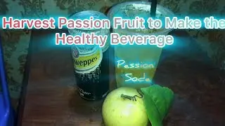Easy Passion Fruit Soda Recipe Anyone Can Try at home#cooking #life #nature #yummy