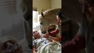 🐎❤️ Horse's EMOTIONAL reunion with the woman who raised it