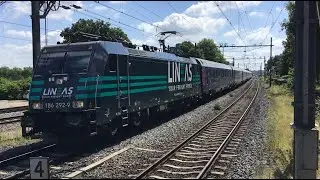 Speciale extra personen Trein 2 ! 🚂👀 !