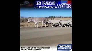 Les fran&ccedil;ais se pr&eacute;parent &agrave; voter 2017-2022