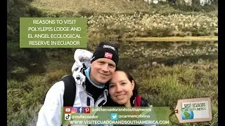 Polylepis Lodge, El Angel Ecological Reserve Ecuador