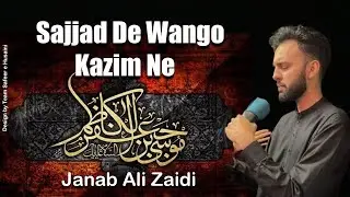 Sajjad de Wango Kazim Ne| Janab Ali Zaidi Chicago | Shahadat Imam Musa Kazim AS IEC Husaini