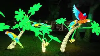 China Lights 2024/2025🏮 Fabelhafte Lichterwesen iim K&ouml;lner Zoo 🐼