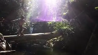 Lestari Hutanku...Lestari Alam Indonesiaku...