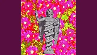 Pink Flowers