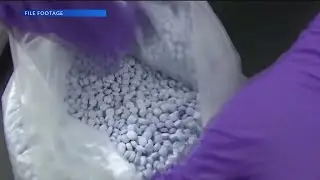 DEA launches new initiative 