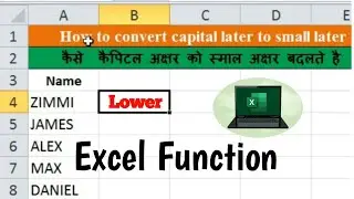How to use LOWER Function in excel  |Converts text to lowercase | Text Formula