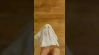 Toilet Paper Ghost - episode 7 #shorts