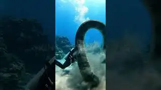 snake in the water #snake #underwater #sea #trendingshorts #shark #crab #foryou #fishing