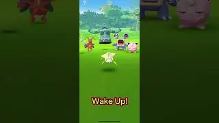 Finally⋯⋯Caught Jirachi🌟