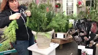 How to Make a Pretty Winter Pot