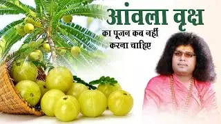 आंवला वृक्ष का पूजन कब नहीं करना चाहिए