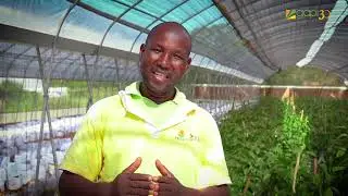 Juve-Inova - Fazer da Agricultura um Negócio - Gapi, com Monteiro Simpeque