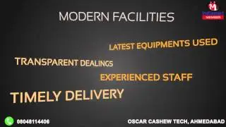 High Quality Cashew Processing Machinery And Equipment
