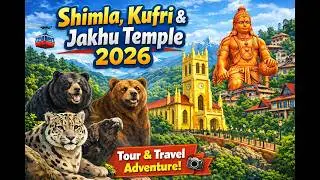 Shimla Travel 2026: Kufri Wildlife + Jakhu Hanuman Temple,@travelenjoyingnature,