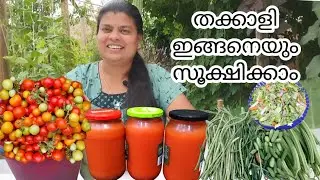 How to save tomatoes for off season /tomato puree @American visheshangal
