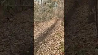 Its getting harder to keep up. Ripping!!