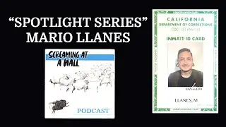 SPOTLIGHT - Success stories from the formerly incarcerated - Mario Llanes