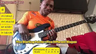 Pentatonic Scale Made Easy For Beginners . Learn and Master All 5 SHAPES 
