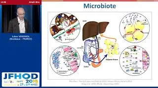 Facteurs de risque et diagnostic non-invasif - J. VERGNIOL