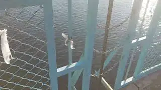Avanos Sallanan Köprü