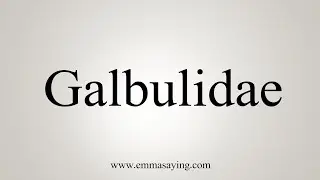 How To Say Galbulidae