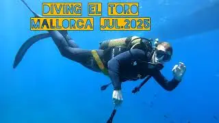 Diving El Toro, Mallorca July 2025