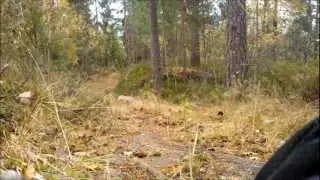 Pulktrening i Gulsetmarka