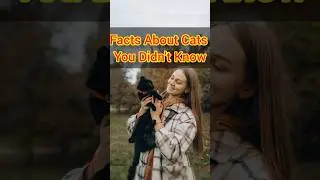 facts about Cats you didn't know|cats Creed#youtubeshorts