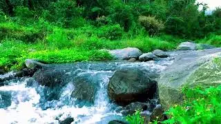 Mountain Stream Flow ASMR for Soothing the Soul, Wellness, Calm Mind