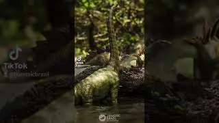 Dinosaur Toy Photography behind the scenes#jurassicworld #jurassicpark #dinosaurphotography#Dinosaur