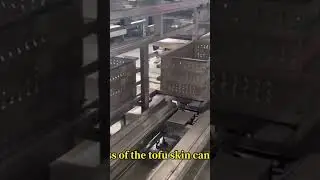 Tofu skin machine #foodmachine #machine #tofuskin #factory