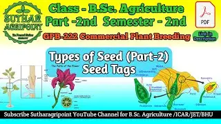 Seed Tags || Teg Colour / Teg Size / Teg Lebling information  / Types of seed part-2