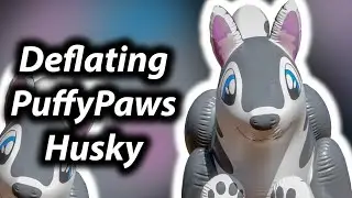 We&rsquo;re Deflating a $1,000 Pool Toy PuffyPaw husky