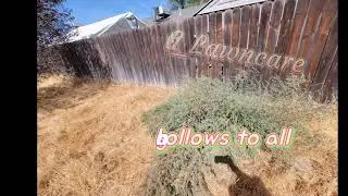 FallTober cleanup