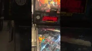 Waterworld Pinball Machine (Gottlieb, 1995)