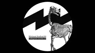 Minimum Syndicat - Signal Zero [MS010]