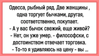 🤡Как Женщина 